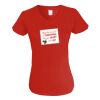 Ladies V-Neck T-Shirt Thumbnail