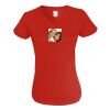 Ladies V-Neck T-Shirt Thumbnail