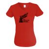 Ladies V-Neck T-Shirt Thumbnail